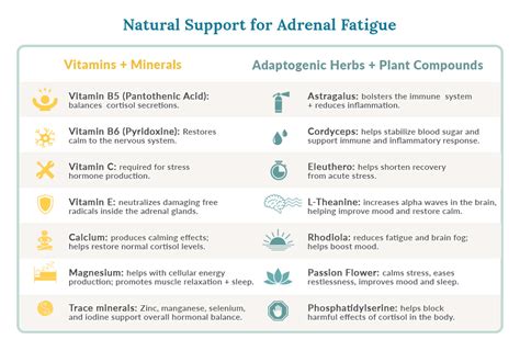 The Best Supplements and Herbs for Healing Adrenal Fatigue - Women's Health Network