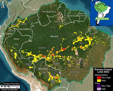 MAAP #187: Amazon Deforestation & Fire Hotspots 2022 - MAAP