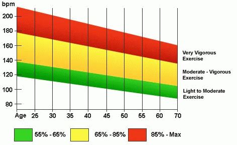 Target Heart Rate Range During Exercise | Healthy Heart Meditation