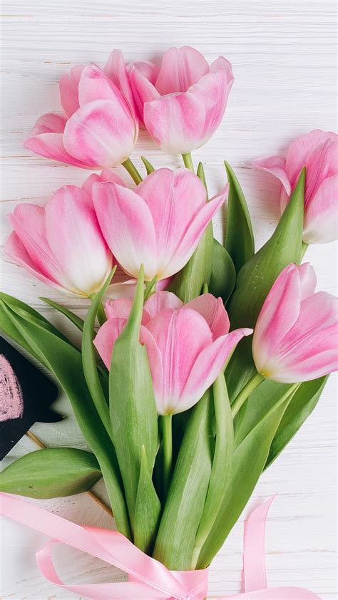 Aggregate more than 79 pink tulips wallpaper - in.coedo.com.vn