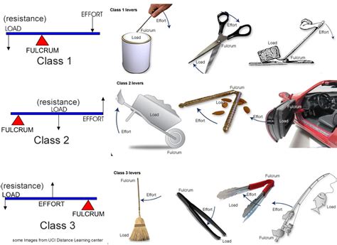 First Second Third Class Lever Examples