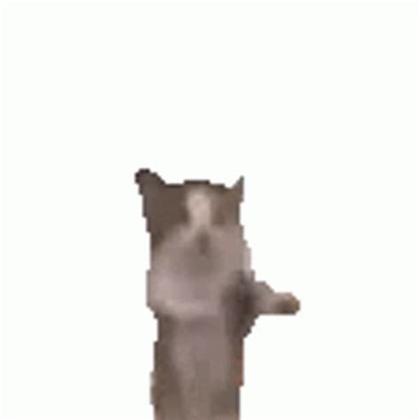 Cat Jump Sticker - Cat Jump Happy - Discover & Share GIFs | Happy cat gif, Dancing cat, Dancing ...