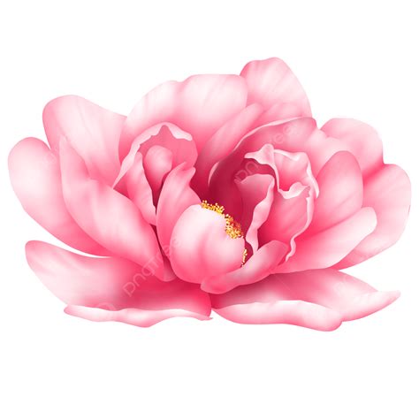 Free Psd PNG Transparent, Pink Watercolor Flowers Free Png And Psd, Watercolor, Flowers, Pink ...