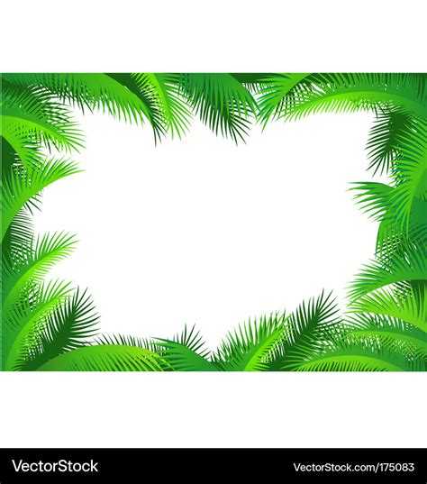 Palm leaf border Royalty Free Vector Image - VectorStock