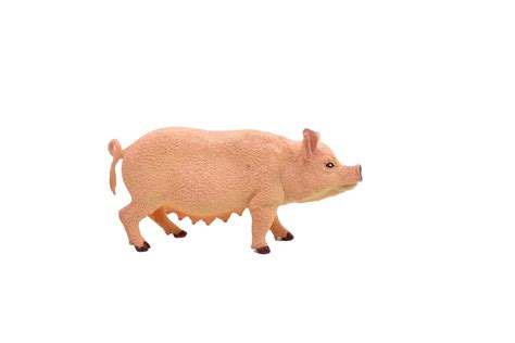 Pig, Sow Realistic Toy Model Plastic Replica Barn Farm Animal, Kids Educational Gift 5" F258 ...