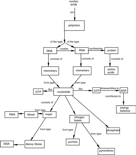 Mastering Biology Chapter 1 Concept Map United States Map | Porn Sex Picture