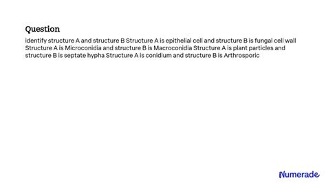 SOLVED: Structure A is an epithelial cell, and structure B is a fungal cell wall. Structure A is ...