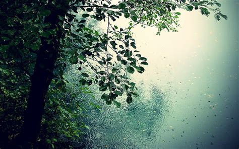 HD wallpaper: nature, rain, desktop, 1920x1200 | Wallpaper Flare