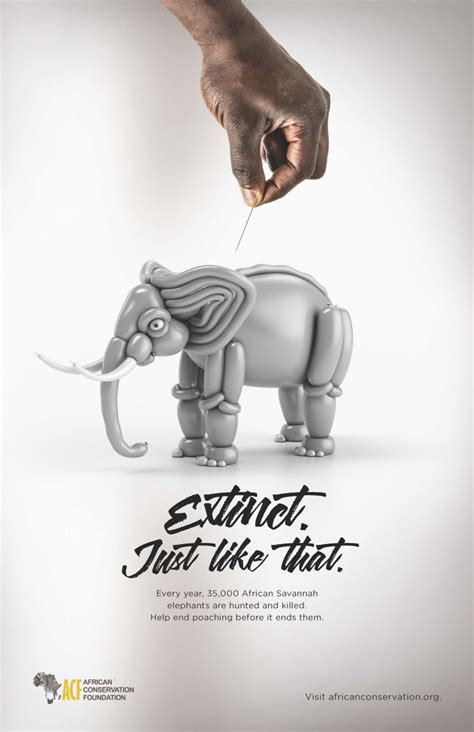 African Conservation Foundation - "African Elephant Poster"