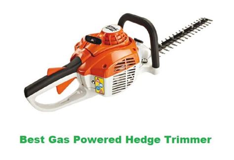 8 Best Gas Powered Hedge Trimmer Reviews 2021 | EasyGearLife