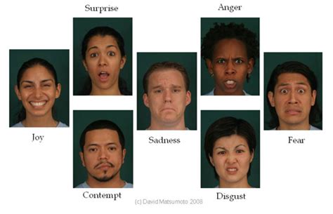 Seven Basic Emotions – Reading Facial Expression - Humintell