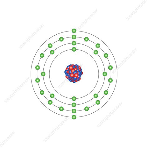 Zinc, atomic structure - Stock Image C013/1553 - Science Photo Library