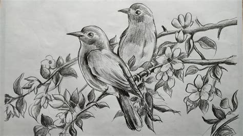 45 Classic Bird sketching drawing for Adult | Free Drawing and Coloring Online