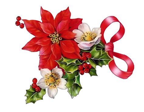 Christmas potpourri clipart 20 free Cliparts | Download images on Clipground 2024