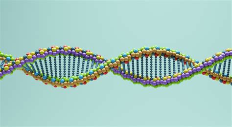 Do Identical Twins Have the Same DNA?