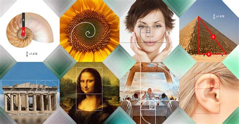 How to Use the Golden Ratio in Design (with Examples)