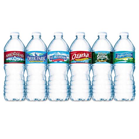 Water Bottle Brands | ubicaciondepersonas.cdmx.gob.mx