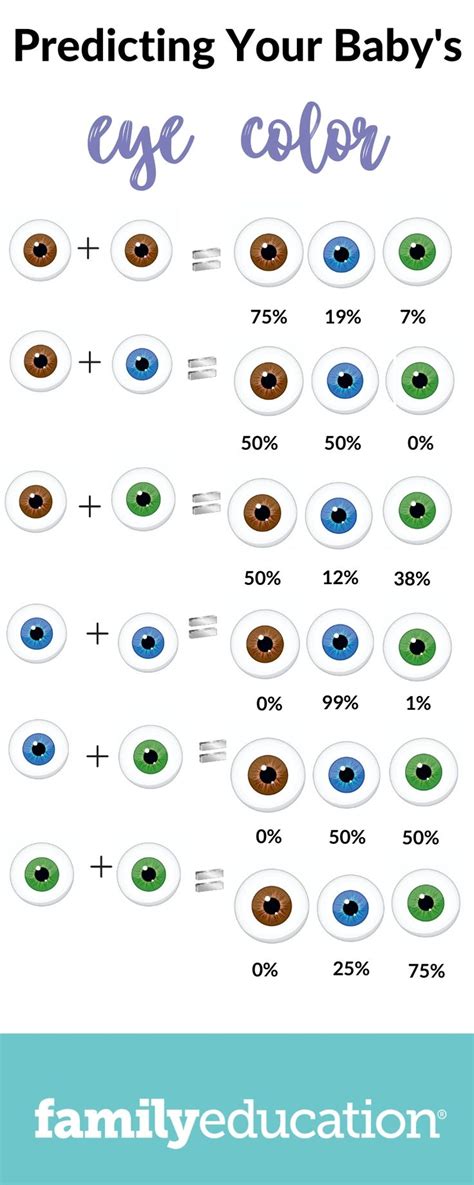 Curious If Your Baby Will Have Blue Eyes? Here Are The Chances Based On Your Eye Color | Eye ...