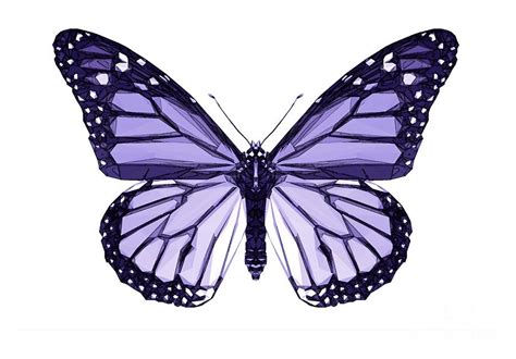 Purple Butterfly Painting by Paul Quarry - Pixels