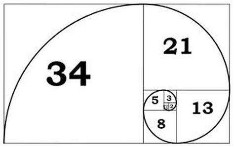 Fibonacci sequence - Gcse photography - Briar CURLEY