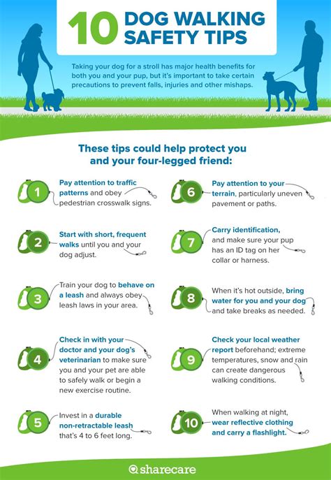 Dog Walking Safety Tips | Walking safety, Safety tips, Puppies