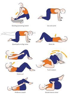 Back Muscle Names : Male Back Muscles Chart / Muscles German Names Chart ... / Latissimus dorsi ...