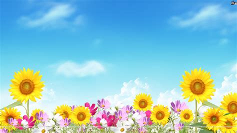 Summer Flower Backgrounds - WallpaperSafari