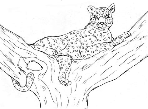 Free Printable Cheetah Coloring Pages For Kids