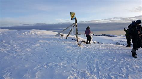 Trails of Kilimanjaro : Kilimanjaro Hiking