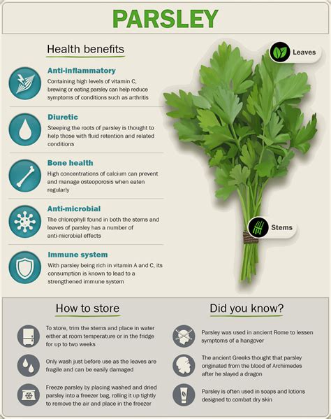 Compound in Parsley Can Help to Prevent Breast Cancer