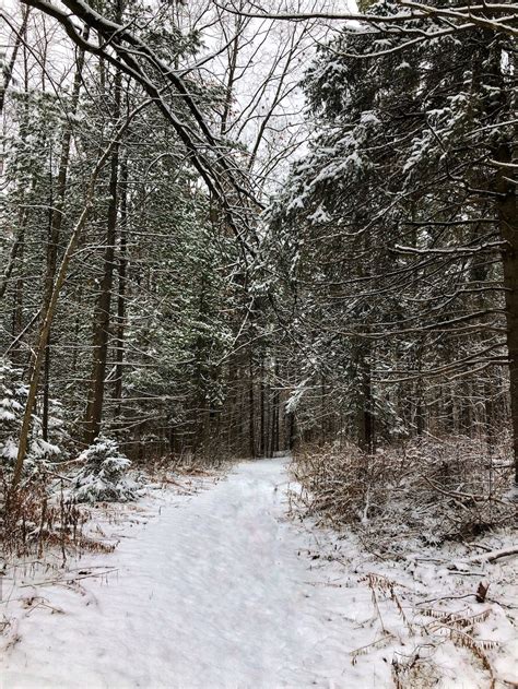 Magical Winter Trails A Short Drive From Toronto