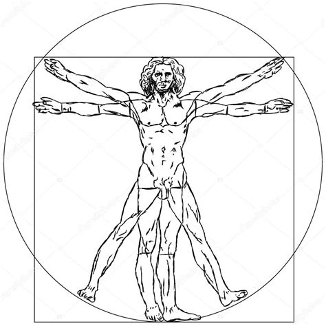 Vitruvian Man Diagram