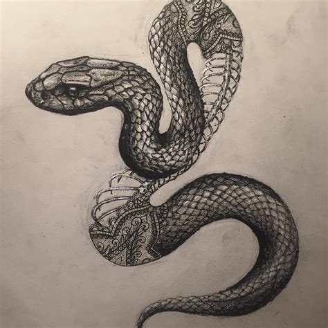 Black Mamba Snake Drawing - Drawing.rjuuc.edu.np