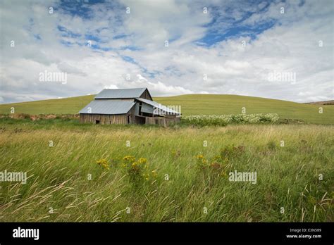 Beautiful country scene of America's heartland, the farming region of the Palouse in Washington ...