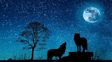 HD wallpaper: sky, dark, night, moon, moonlight, wolf, tree, roar, animation | Wallpaper Flare