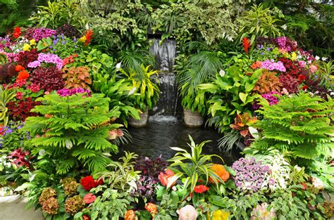 Tropical Garden with Colorful Flowers jigsaw puzzle in Waterfalls puzzles on TheJigsawPuzzles.com