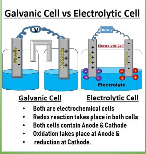 Galvanic Cell and Electrolytic Cell - Electrochemical Cells | Electrochemical cell, Galvanic ...