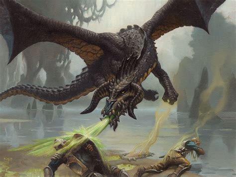 Black Dragon MtG Art from Adventures in the Forgotten Realms Set by Mark Zug - Art of Magic: the ...