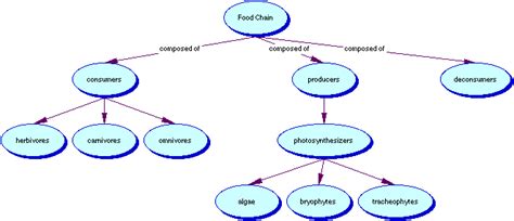 The Easy Guide to Semantic Mapping (With Examples) - Edraw