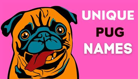 Best 500+ Pug Names Suggestions For A Boy That You Must Love