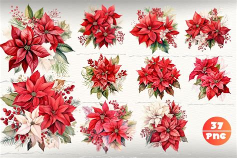 Christmas Flower Clipart, Christmas Gift Clipart, Winter Clipart, Flower Christmas Png ...