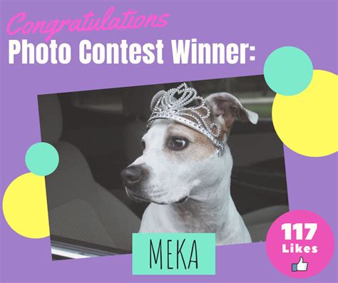 Pet Photo Contest