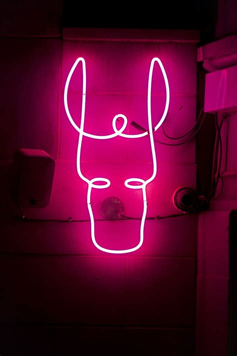 HD wallpaper: pink neon sign, illuminated, communication, glowing, pink color | Wallpaper Flare