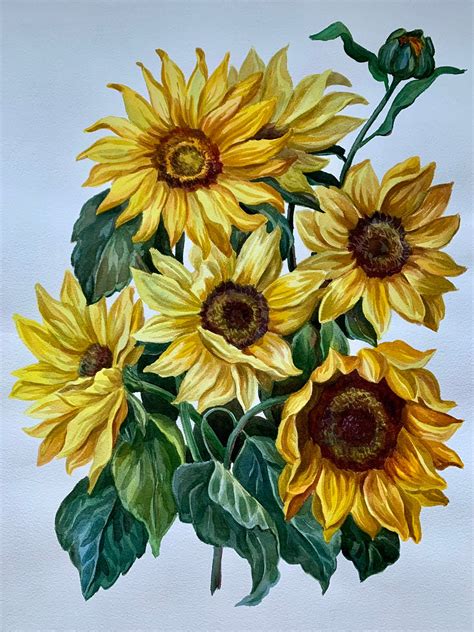 Sunflower Paintings Images