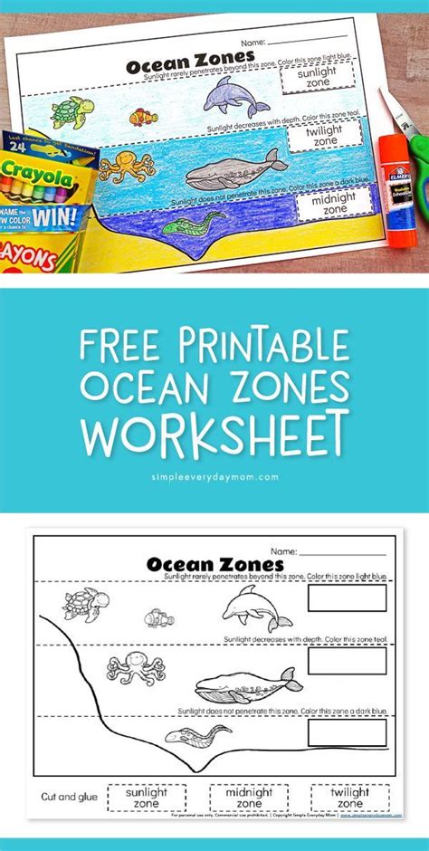 Ocean Zones Diagram For Kids