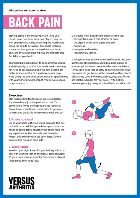 Back Pain exercise sheet – Versus Arthritis