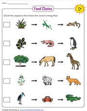 Food chains diagrams - polizmob