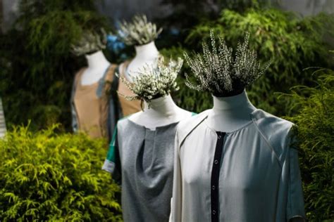 Eco-Friendly Clothing: All You Need to Know – Fashion Gone Rogue