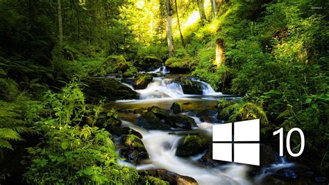 Windows 10 over the forest creek simple logo wallpaper - Computer wallpapers - #47244