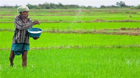 Agriculture Farms In Sri Lanka